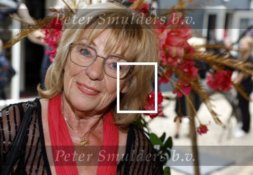Holten 29 juni 2023
25 jaar Rooftop studio\'s van Edwin v Hoevelaak .
Getty Kaspers
