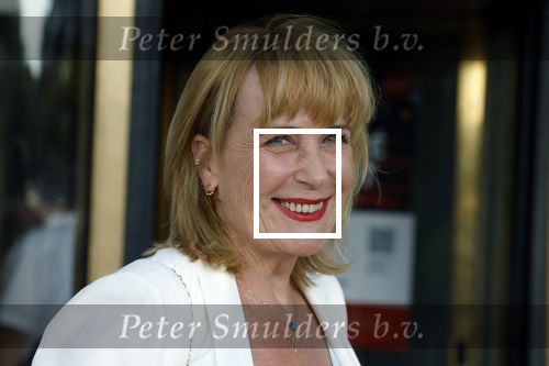 Amsterdam 6 juli 2023
Amsterdamse premiere in carre van musical Les Miserables.
Inge Ipenburg