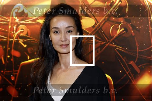 Amsterdam 19 juli 2023
Premiere Oppenheimer in Pathe Arena.
Jennifer de Jong met man