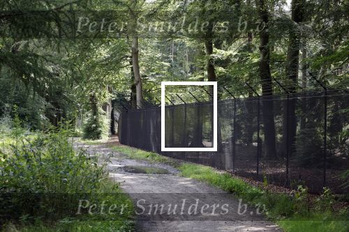 Lage Vuursche 28 juli 2023
Palijs Drakensteyn van prinss Beatrix . De poort is geschilderd en in de tuin staan hekken met donkee doeken voor privacy . Naast het landgoed is een stuk bouwgrond te koop.