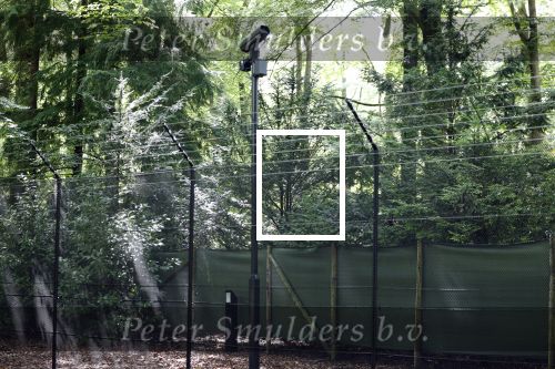 Lage Vuursche 28 juli 2023
Palijs Drakensteyn van prinss Beatrix . De poort is geschilderd en in de tuin staan hekken met donkee doeken voor privacy . Naast het landgoed is een stuk bouwgrond te koop.