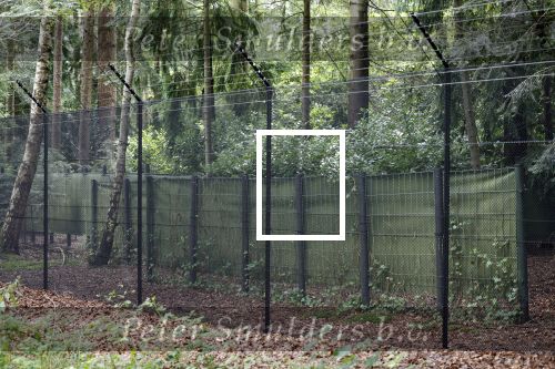 Lage Vuursche 28 juli 2023
Palijs Drakensteyn van prinss Beatrix . De poort is geschilderd en in de tuin staan hekken met donkee doeken voor privacy . Naast het landgoed is een stuk bouwgrond te koop.