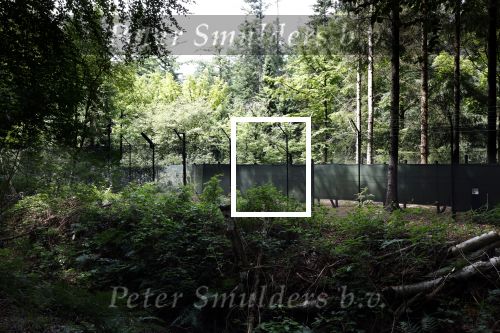 Lage Vuursche 28 juli 2023
Palijs Drakensteyn van prinss Beatrix . De poort is geschilderd en in de tuin staan hekken met donkee doeken voor privacy . Naast het landgoed is een stuk bouwgrond te koop.