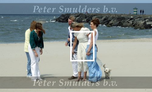 Den haag 30 juni 2023
Fotosessie op het strand Koning Willem Alexander, koningin Maxima en prinses Ariane, Prinses  Amalia en Prinses Alexia poseren tijdens de fotosessie op het strand met hond mambo.