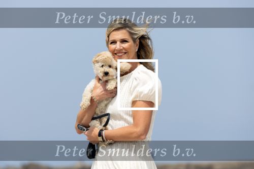 Den haag 30 juni 2023
Fotosessie op het strand Koning Willem Alexander, koningin Maxima en prinses Ariane, Prinses  Amalia en Prinses Alexia poseren tijdens de fotosessie op het strand met hond mambo.