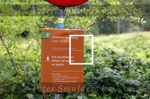 Lage Vuursche 28 juli 2023
Palijs Drakensteyn van prinss Beatrix . De poort is geschilderd en in de tuin staan hekken met donkee doeken voor privacy . Wandelpaden Lage Vuursche
