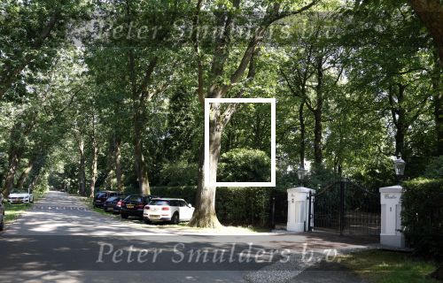 Huizen 7 8 en 9 juli 2023
De autos van Linda de Mol en Jeroen Rietbergen voor haar huis .
Linda viert haar verjaardag met vriendinnen in de tuin . Oa Susan Visser Mireille Bekooy Xenia Kasper en Lies Visschedijk waren aanwezig.