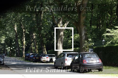 Huizen 7 8 en 9 juli 2023
De autos van Linda de Mol en Jeroen Rietbergen voor haar huis .
Linda viert haar verjaardag met vriendinnen in de tuin . Oa Susan Visser Mireille Bekooy Xenia Kasper en Lies Visschedijk waren aanwezig.