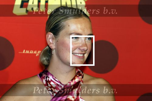 Amsterdam 25 juni 2023
Premiere Ladybug Catnoir in Pathe Arena.
Maxime Meiland en Leroy Molkenboer met dochter Claire