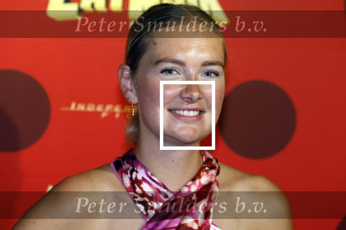 Amsterdam 25 juni 2023
Premiere Ladybug Catnoir in Pathe Arena.
Maxime Meiland en Leroy Molkenboer met dochter Claire