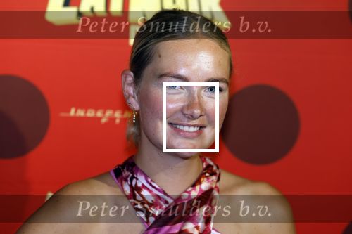 Amsterdam 25 juni 2023
Premiere Ladybug Catnoir in Pathe Arena.
Maxime Meiland en Leroy Molkenboer met dochter Claire