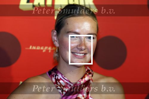 Amsterdam 25 juni 2023
Premiere Ladybug Catnoir in Pathe Arena.
Maxime Meiland en Leroy Molkenboer met dochter Claire