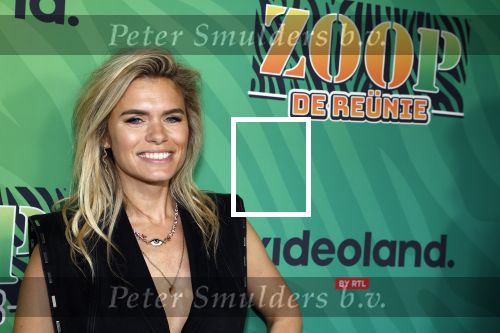 Rhenen 13 juli 2023
Reunie Zoop in oudehands dierenpark.
Nicolette v Dam