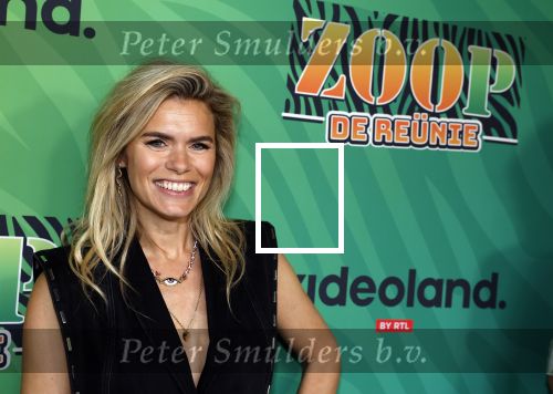 Rhenen 13 juli 2023
Reunie Zoop in oudehands dierenpark.
Nicolette v Dam