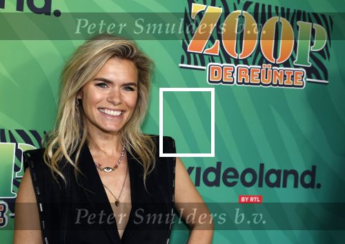 Rhenen 13 juli 2023
Reunie Zoop in oudehands dierenpark.
Nicolette v Dam