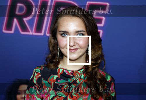 Utrecht 4 juli 2023
Premiere Joy Ride in Pathe Leidsche Rijn . Noa Zwam