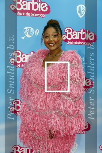 Amsterdam 18 juli 2023
Premiere Barbie in Tuschinski. Noel v Kleef