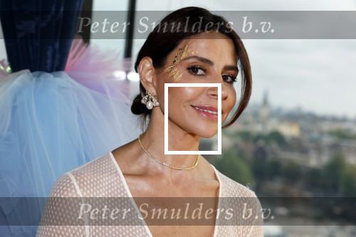 Amsterdam 29 juni 2023
Opening nieuwe rooftop bar in het Double Tree Hilton Hotel.
Olcay Gulsen