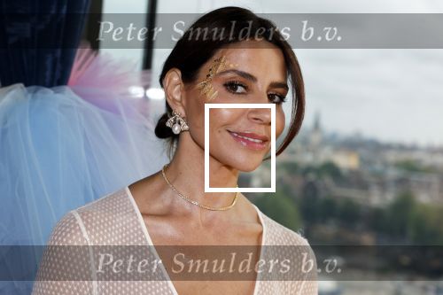 Amsterdam 29 juni 2023
Opening nieuwe rooftop bar in het Double Tree Hilton Hotel.
Olcay Gulsen