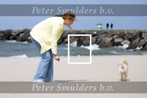 Den haag 30 juni 2023
Fotosessie op het strand Koning Willem Alexander, koningin Maxima en prinses Ariane, Prinses  Amalia en Prinses Alexia poseren tijdens de fotosessie op het strand met hond mambo.