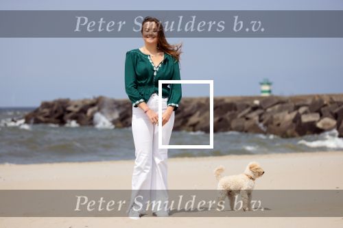 Den haag 30 juni 2023
Fotosessie op het strand Koning Willem Alexander, koningin Maxima en prinses Ariane, Prinses  Amalia en Prinses Alexia poseren tijdens de fotosessie op het strand met hond mambo.