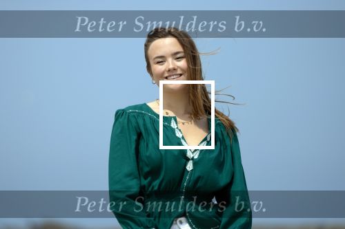 Den haag 30 juni 2023
Fotosessie op het strand Koning Willem Alexander, koningin Maxima en prinses Ariane, Prinses  Amalia en Prinses Alexia poseren tijdens de fotosessie op het strand met hond mambo.