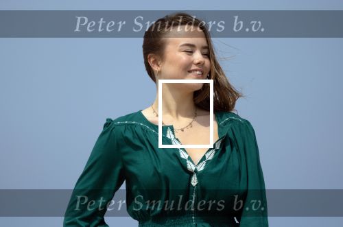 Den haag 30 juni 2023
Fotosessie op het strand Koning Willem Alexander, koningin Maxima en prinses Ariane, Prinses  Amalia en Prinses Alexia poseren tijdens de fotosessie op het strand met hond mambo.