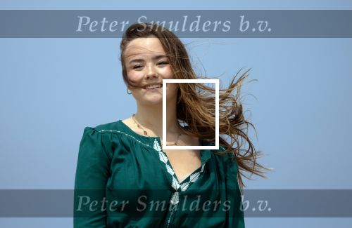 Den haag 30 juni 2023
Fotosessie op het strand Koning Willem Alexander, koningin Maxima en prinses Ariane, Prinses  Amalia en Prinses Alexia poseren tijdens de fotosessie op het strand met hond mambo.