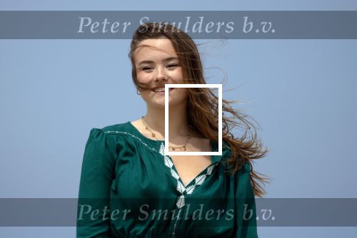 Den haag 30 juni 2023
Fotosessie op het strand Koning Willem Alexander, koningin Maxima en prinses Ariane, Prinses  Amalia en Prinses Alexia poseren tijdens de fotosessie op het strand met hond mambo.