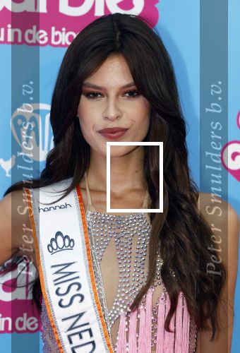 Amsterdam 18 juli 2023
Premiere Barbie in Tuschinski.
Rikkie Kolle   Miss Nederland 2023