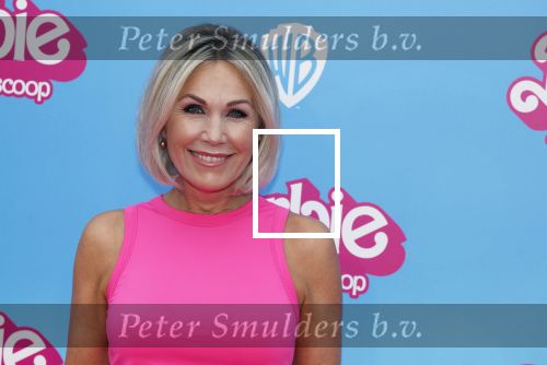Amsterdam 18 juli 2023
Premiere Barbie in Tuschinski. Tanja Jess