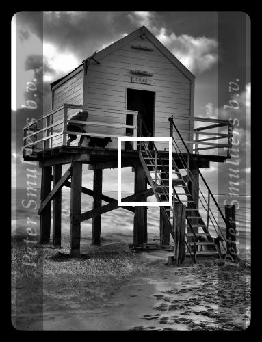 Vlieland 2017