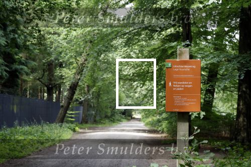 Lage Vuursche 28 juli 2023
Palijs Drakensteyn van prinss Beatrix . De poort is geschilderd en in de tuin staan hekken met donkee doeken voor privacy . Naast het landgoed is een stuk bouwgrond te koop.