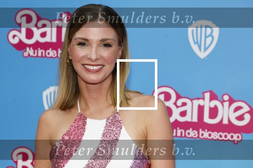 Amsterdam 18 juli 2023
Premiere Barbie in Tuschinski.
Welmoed Sijtsma