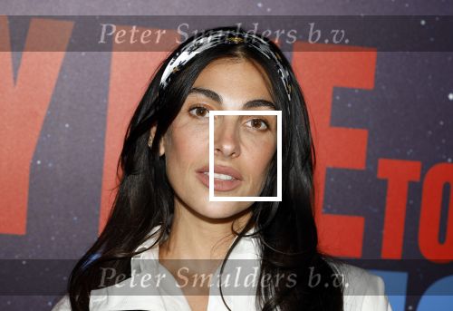 Amsterdam 8 juli 2024
Premiere Fly met to the moon in pathe Arena. Anna Nooshin