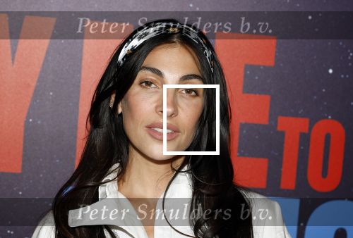 Amsterdam 8 juli 2024
Premiere Fly met to the moon in pathe Arena. Anna Nooshin