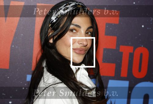 Amsterdam 8 juli 2024
Premiere Fly met to the moon in pathe Arena. Anna Nooshin