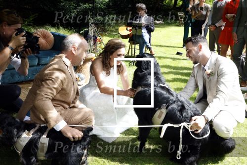 Arnhem 7 juli 2024
Annemarie Bruning en Frits Maeijer trouwen . Hun honden moeder en zoon zijn de getuigen . Marlayne Sahupala in de BAB en zingt verschillende liedjes .