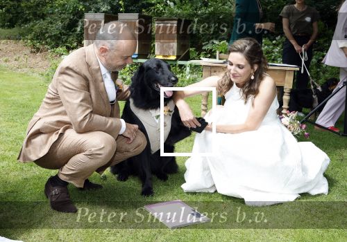 Arnhem 7 juli 2024
Annemarie Bruning en Frits Maeijer trouwen . Hun honden moeder en zoon zijn de getuigen . Marlayne Sahupala in de BAB en zingt verschillende liedjes .