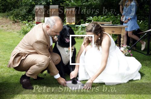 Arnhem 7 juli 2024
Annemarie Bruning en Frits Maeijer trouwen . Hun honden moeder en zoon zijn de getuigen . Marlayne Sahupala in de BAB en zingt verschillende liedjes .