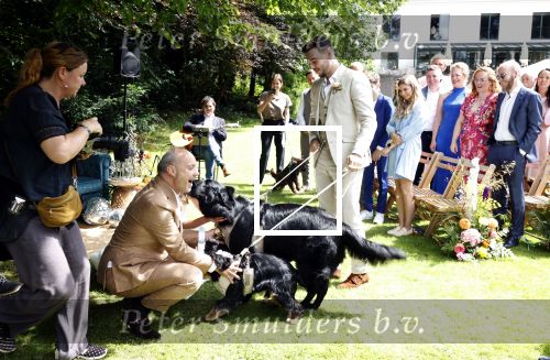 Arnhem 7 juli 2024
Annemarie Bruning en Frits Maeijer trouwen . Hun honden moeder en zoon zijn de getuigen . Marlayne Sahupala in de BAB en zingt verschillende liedjes .