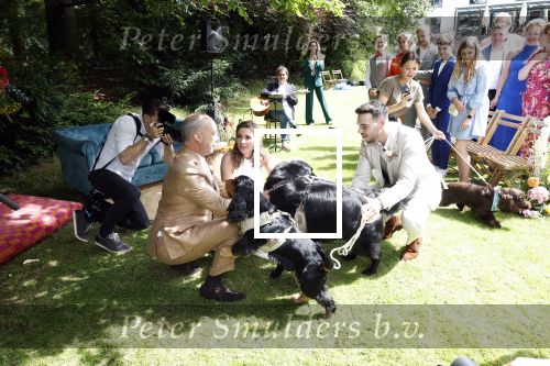Arnhem 7 juli 2024
Annemarie Bruning en Frits Maeijer trouwen . Hun honden moeder en zoon zijn de getuigen . Marlayne Sahupala in de BAB en zingt verschillende liedjes .