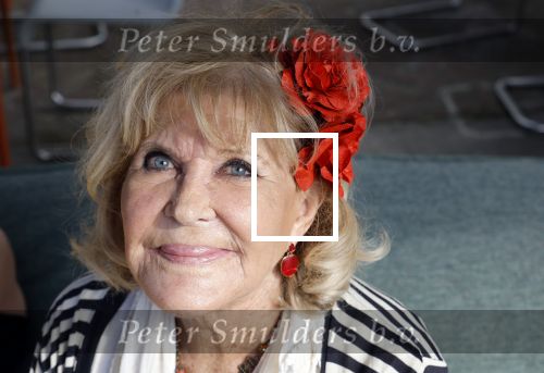 Huizen 14 juli 2024
Presenatie magazine van Nicole des Bouvrie . Astrid Engels
