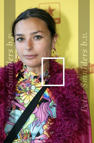 Utrecht 6 juli 2024
Premiere superkrachten voor je hoofd in Kinopolis in Utrecht . Charlie Dagelet met man en zoon