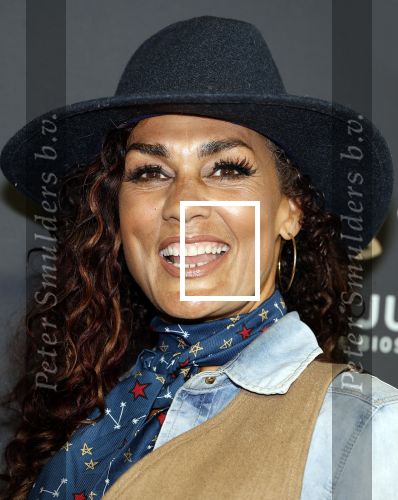 Hilversum 16 juli 2024
Premiere Twisters in bioscoop in Hilversum. Chimene v Oosterhout met een kennis