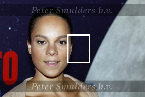 Amsterdam 8 juli 2024
Premiere Fly met to the moon in pathe Arena. Cloe Leenheer
