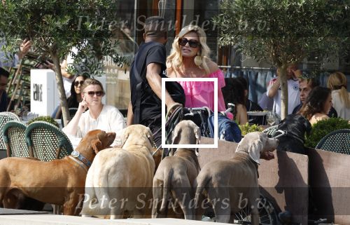 Amsterdam 18 juli 2024
Connie Witteman zit op terras en op dat moment komt de honden fluitseraar voorbij met oa de hond van Connie . Ze ging de hond natuurlijk meteen aaien.