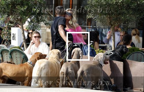 Amsterdam 18 juli 2024
Connie Witteman zit op terras en op dat moment komt de honden fluitseraar voorbij met oa de hond van Connie . Ze ging de hond natuurlijk meteen aaien.