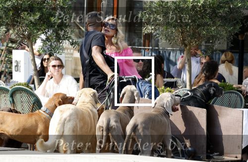 Amsterdam 18 juli 2024
Connie Witteman zit op terras en op dat moment komt de honden fluitseraar voorbij met oa de hond van Connie . Ze ging de hond natuurlijk meteen aaien.