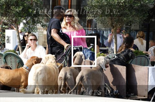 Amsterdam 18 juli 2024
Connie Witteman zit op terras en op dat moment komt de honden fluitseraar voorbij met oa de hond van Connie . Ze ging de hond natuurlijk meteen aaien.